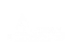 A team logo
